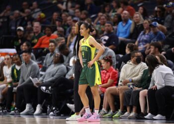 WNBA Notes: Skylar Diggins-Smith, Aari McDonald stay hot