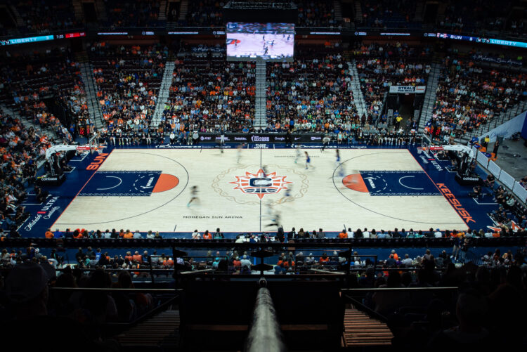 Sun hire WNBA alum Roneeka Hodges as assistant coach