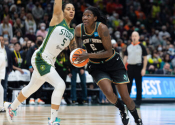 Natasha Howard brings ideal skills and traits to Indiana Fever