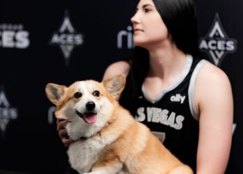 Megan Gustafson taps into creative side with new children’s book